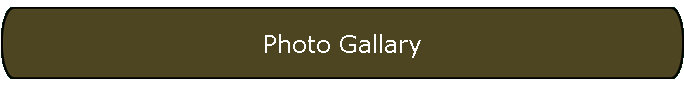 Photo Gallary